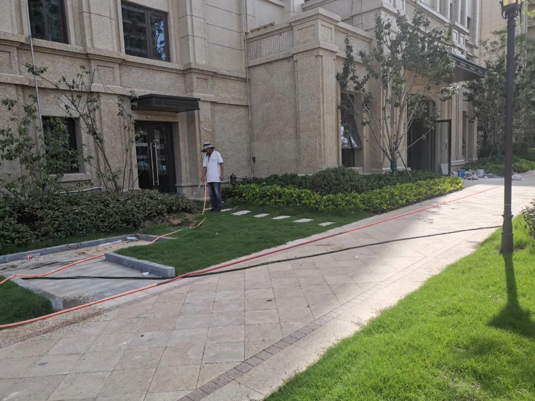 1622276835289415.jpg 640.webp (7).jpg